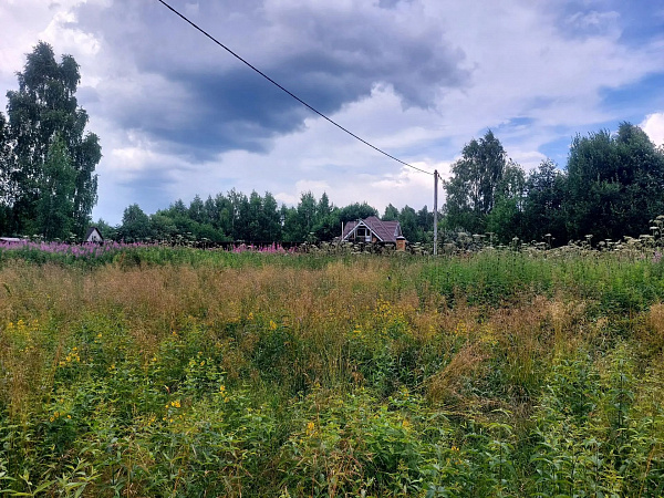 Московская область, Дмитровский район, с/пос. Якотское, в районе д. Бешенково, с/т Ортопед, участок 37