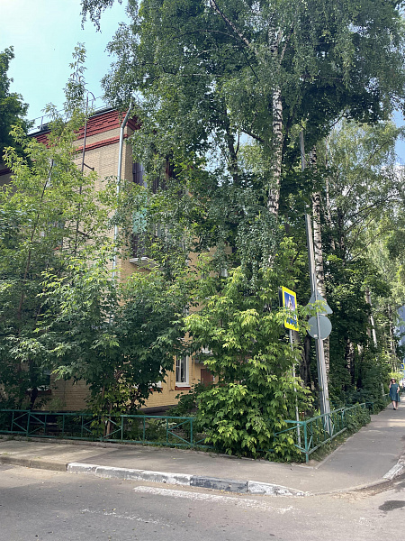 ул. Центральная, д. 2