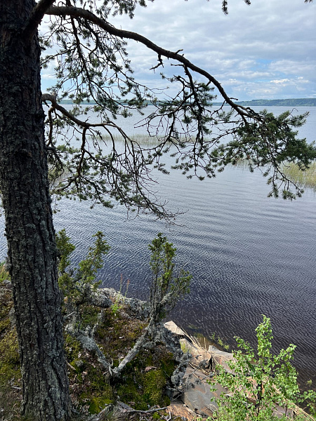 Республика Карелия, Питкярантский муниципальный район, Ляскельское сельское поселение, д. Хийденсельга. 