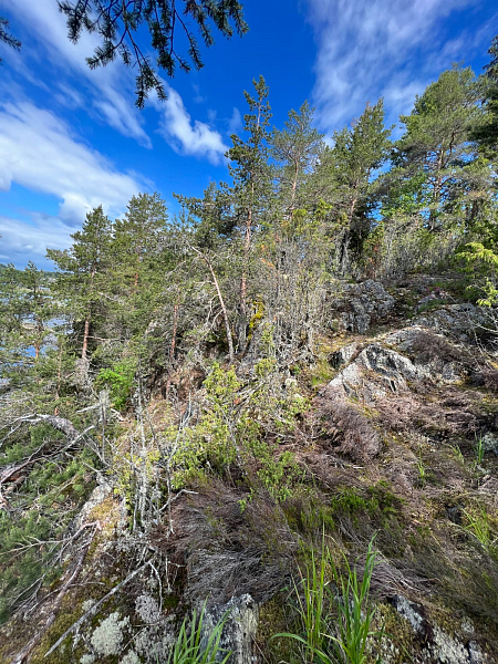 Республика Карелия, Питкярантский муниципальный район, Ляскельское сельское поселение, д. Хийденсельга. 