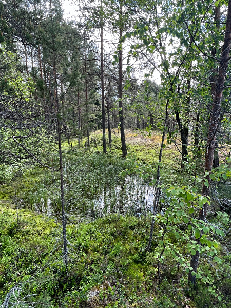 Республика Карелия, Питкярантский муниципальный район, Ляскельское сельское поселение, д. Хийденсельга. 