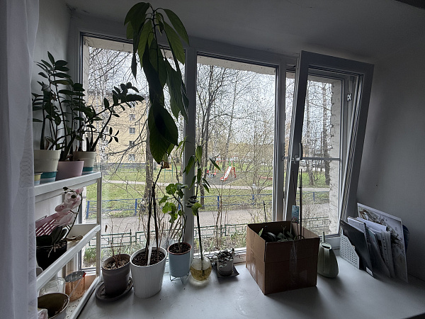 ул. Первомайская, д. 58